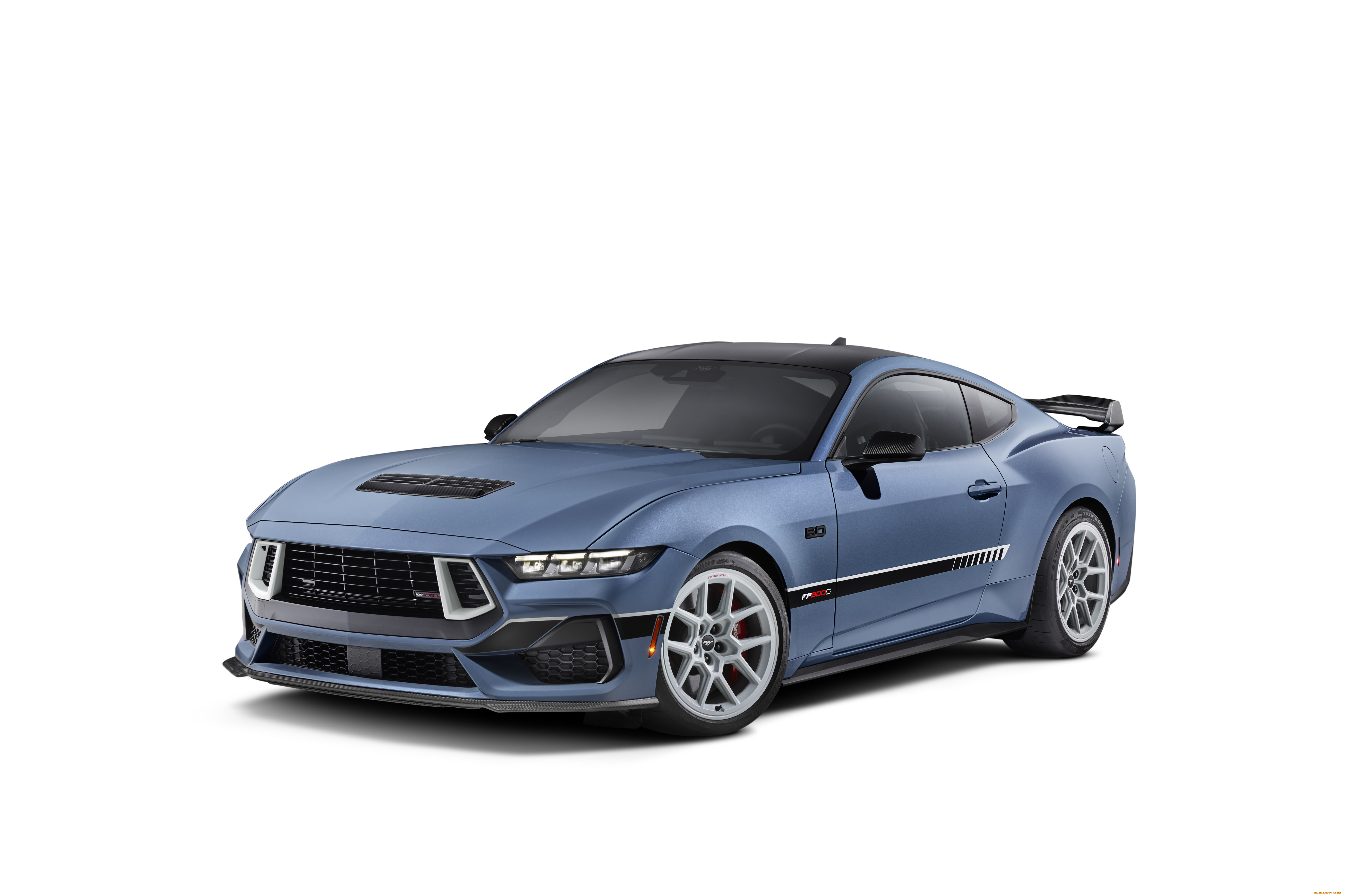, mustang